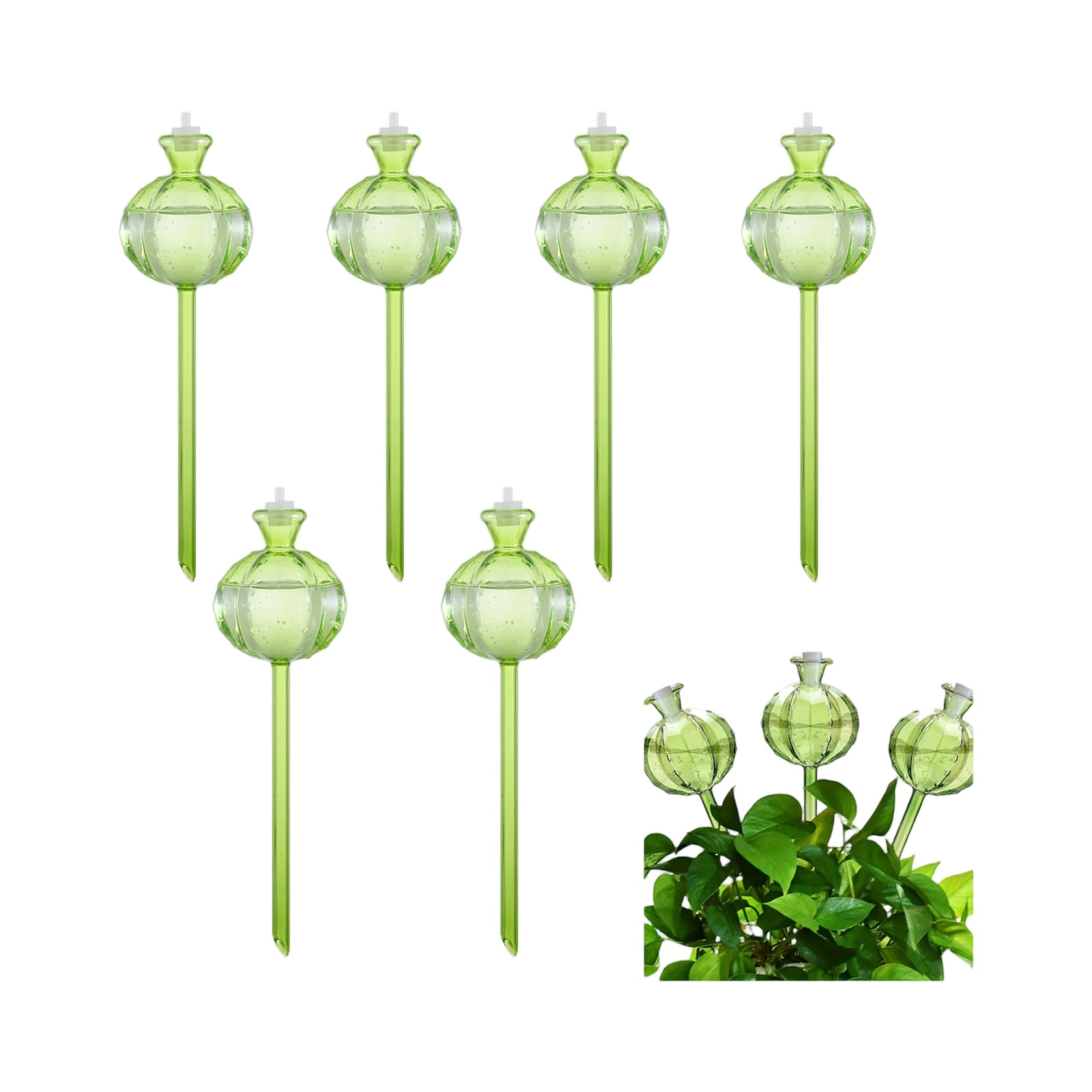 Globos de Irrigação Automática - Plant Watering Globe avaliação e preço