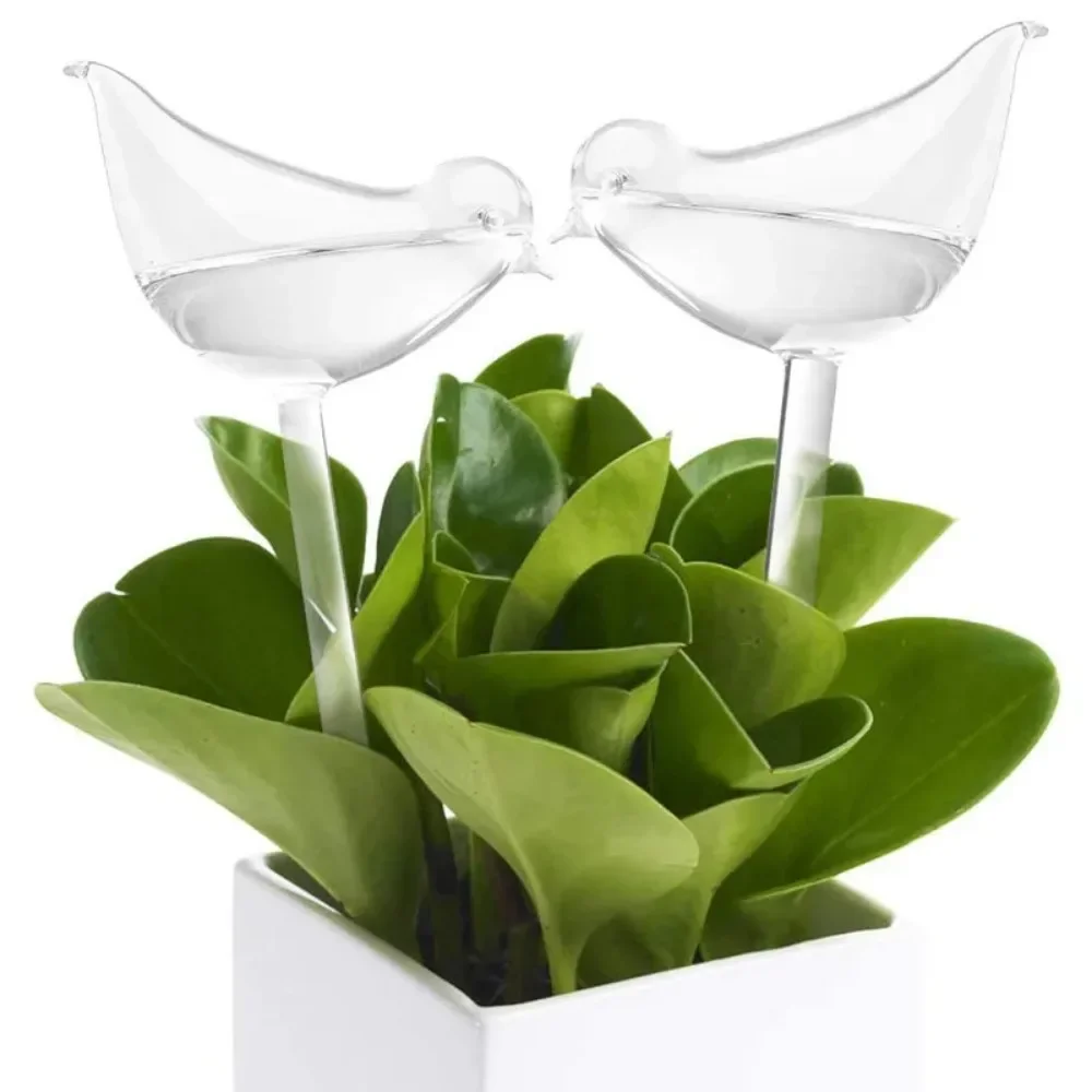 Dispositivo de rega de flores  - Plant Watering Globe avaliação e preço