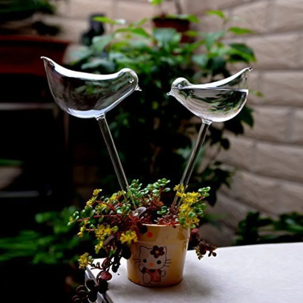 Dispositivo de rega de flores  - Plant Watering Globe avaliação e preço