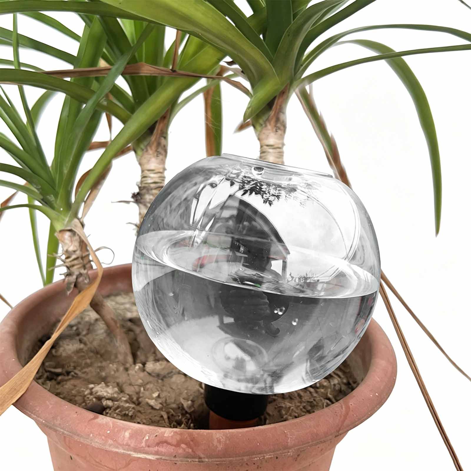 Bolas de Rega Automáticas para - Plant Watering Globe avaliação e preço