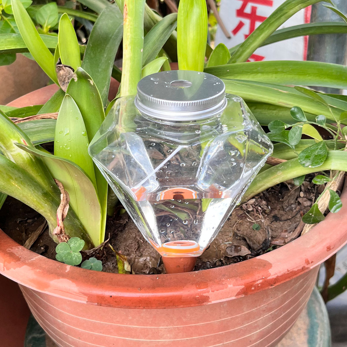 1 unidade de Gotejador Automát - Plant Watering Globe avaliação e preço